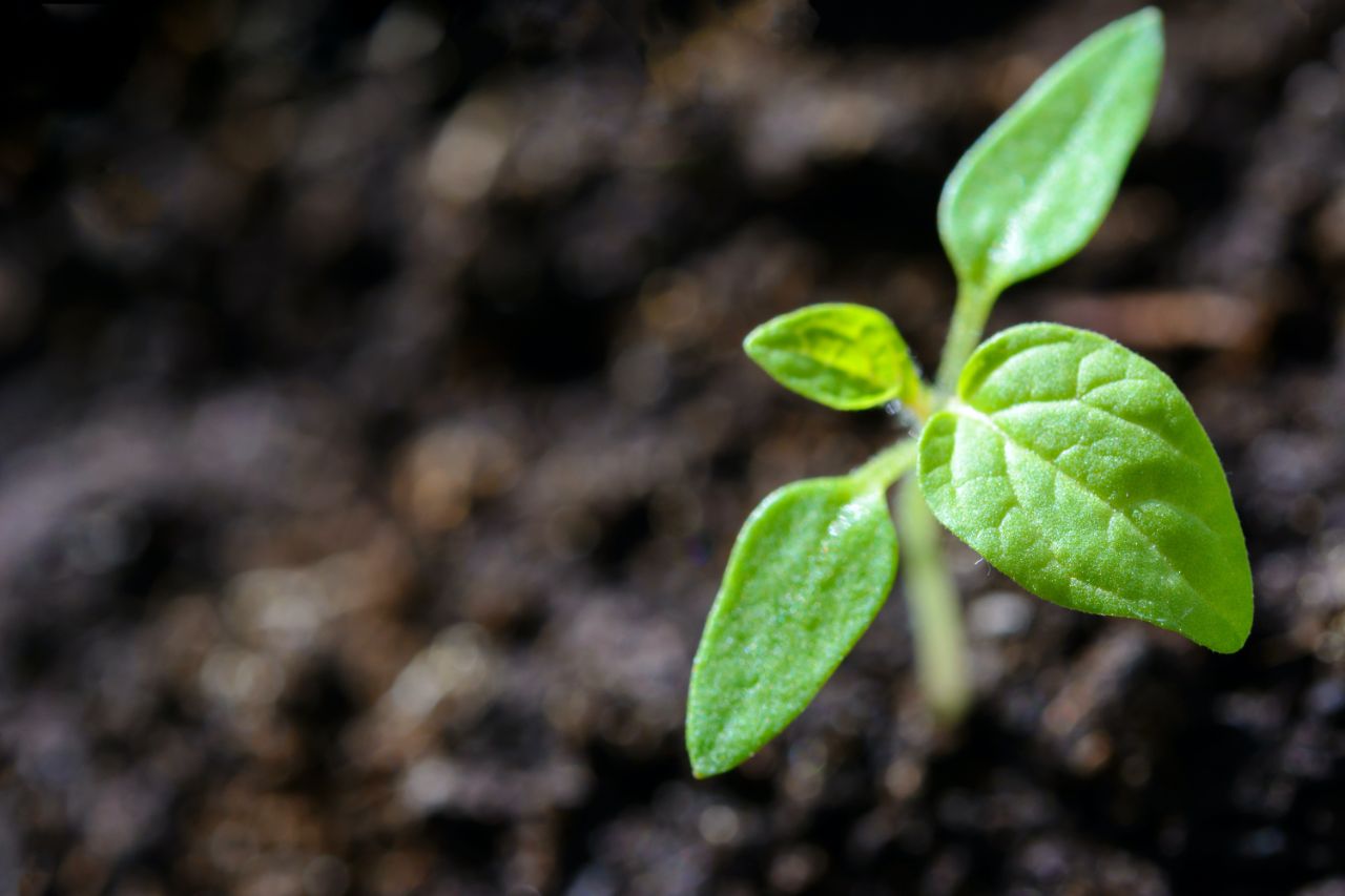 Soil Moisture Analytics