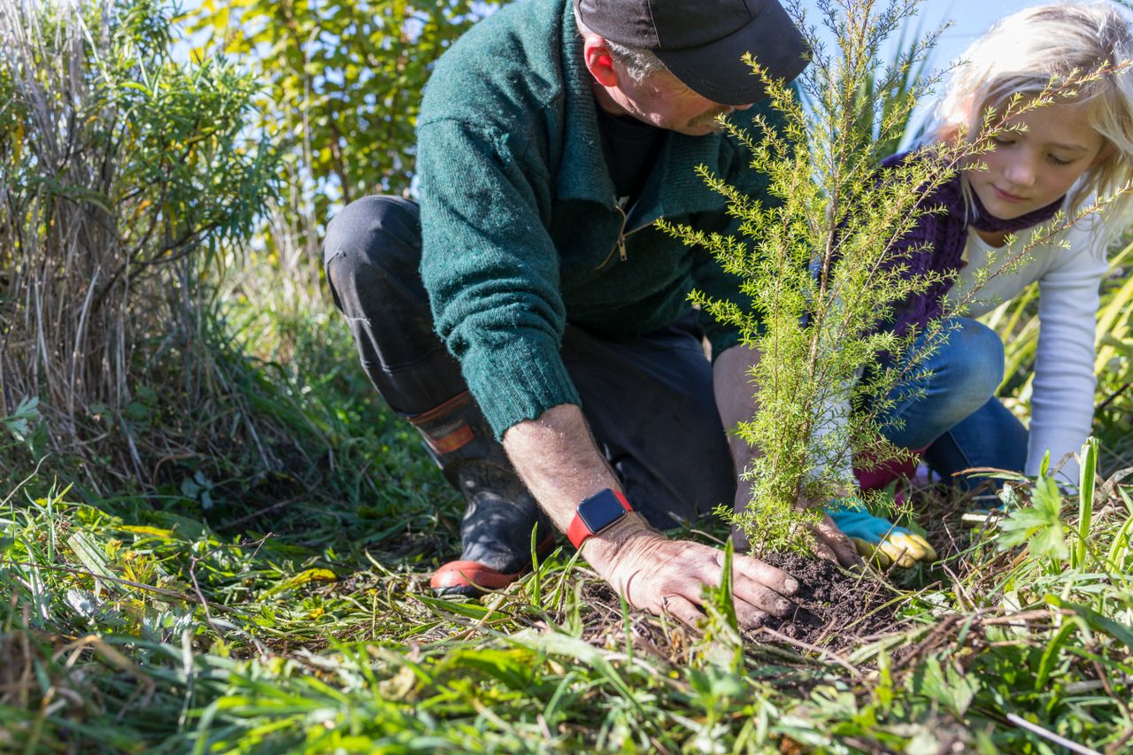 Charlie3(FamilyPlanting)579