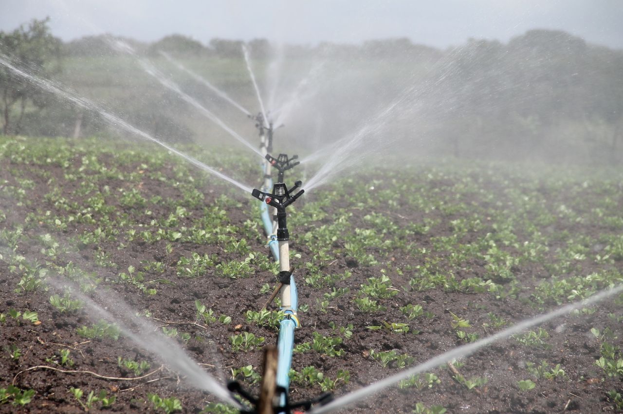 irrigation-588941_1920