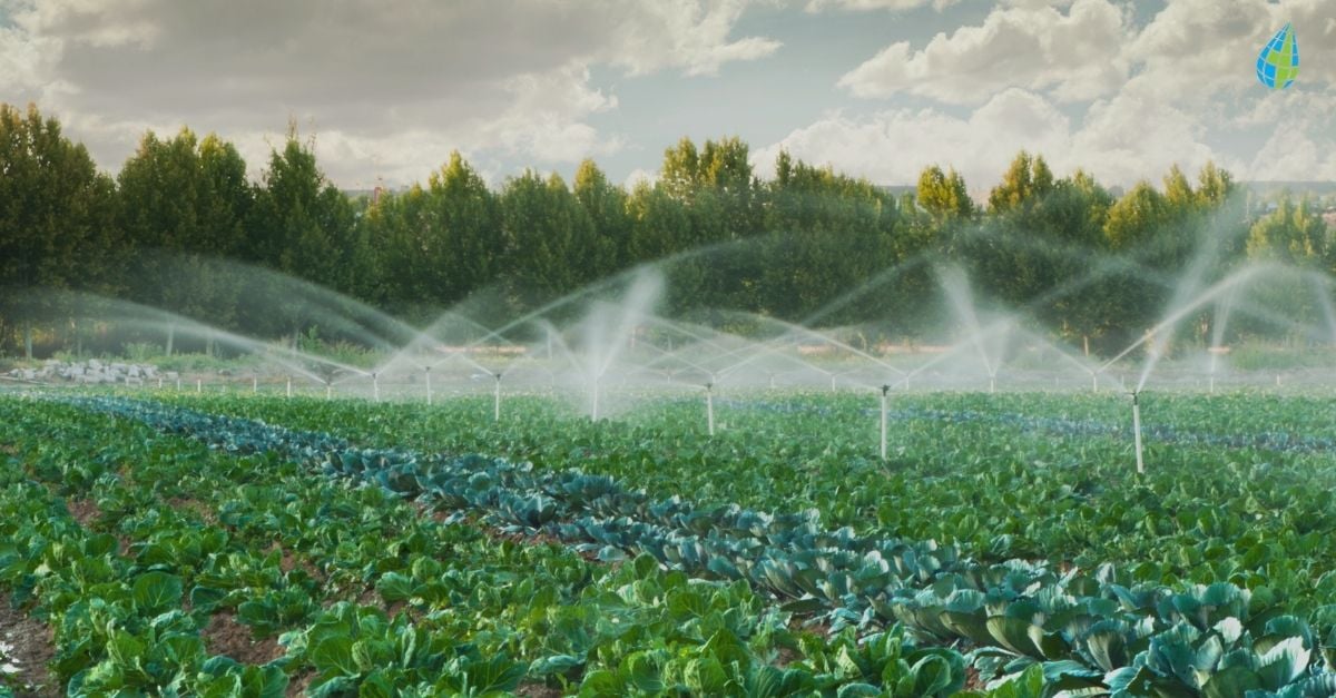 Predictive irrigation - 1