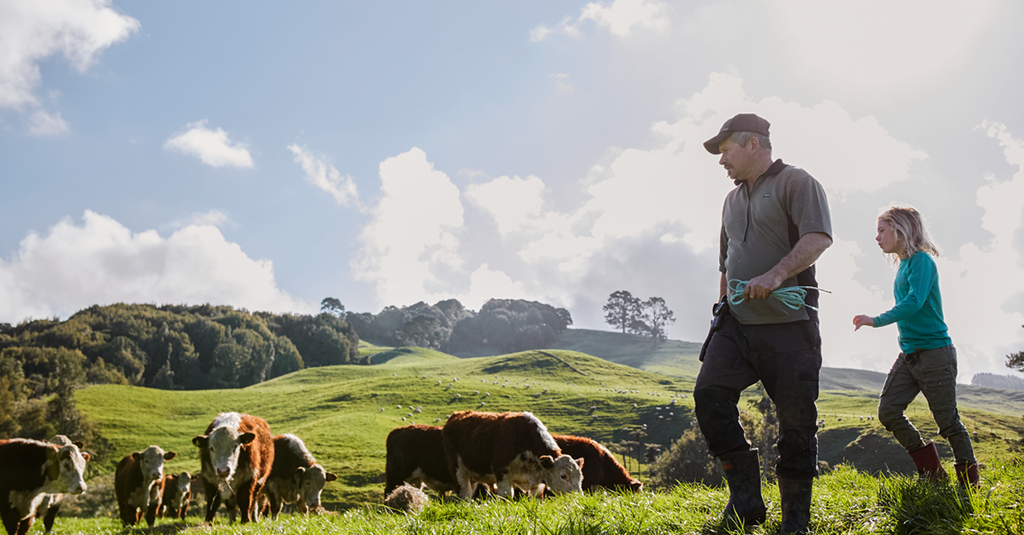 dairy farm management