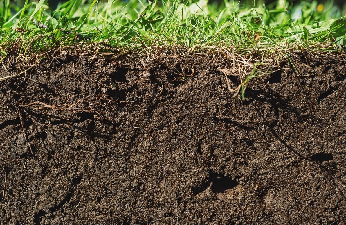 Soil Cross Section